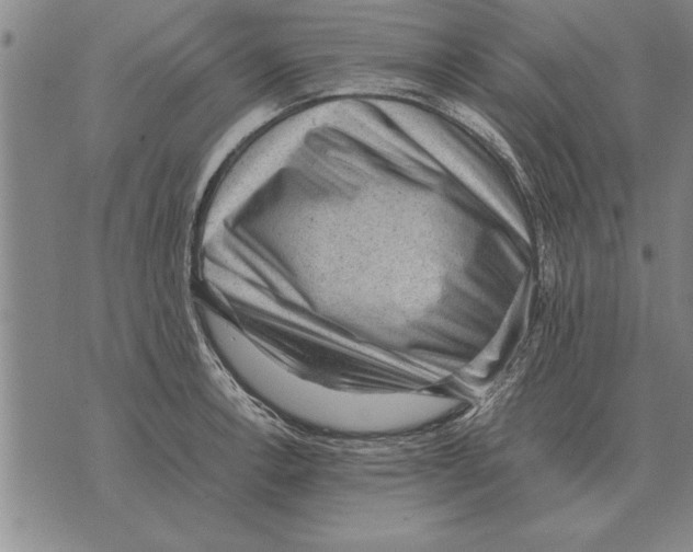 X0000075871138200610151654