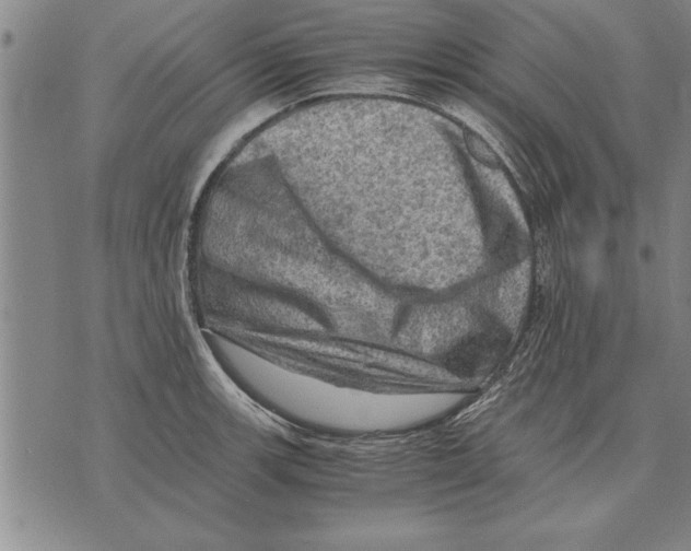 X0000075871139200610151654