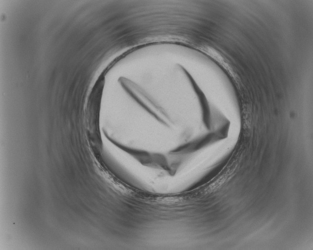 X0000075871140200610151654