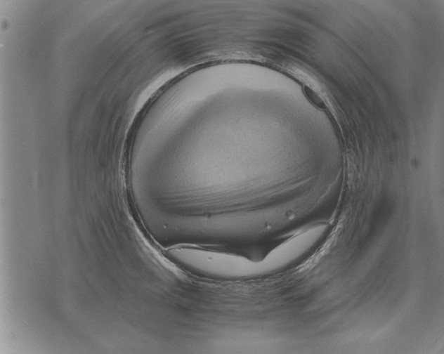 X0000075871141200610151654