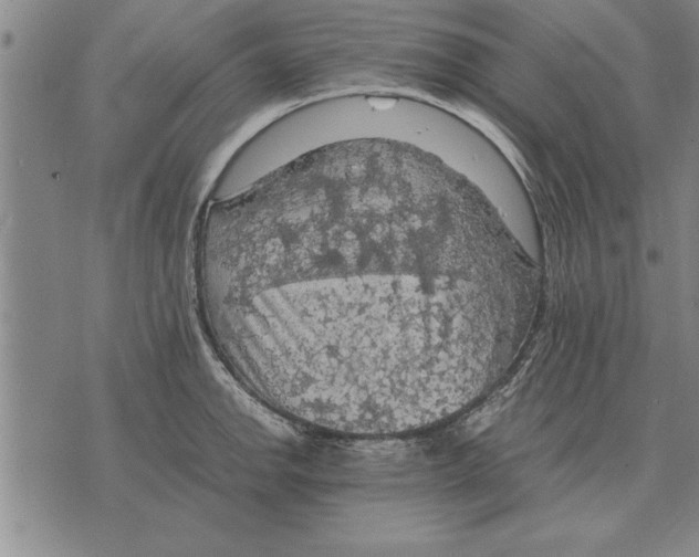 X0000075871142200610151654