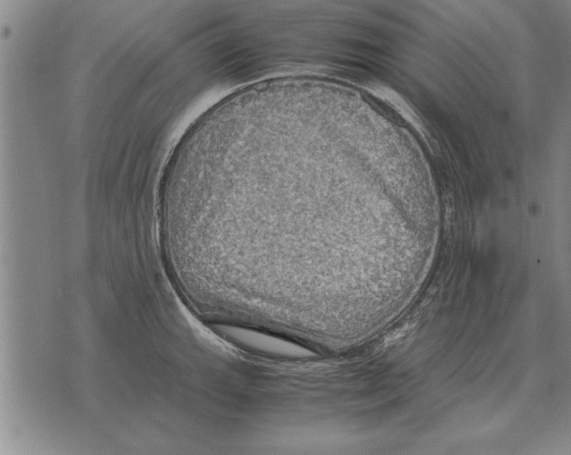 X0000075871143200610151654