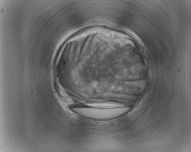 X0000075871144200610151654