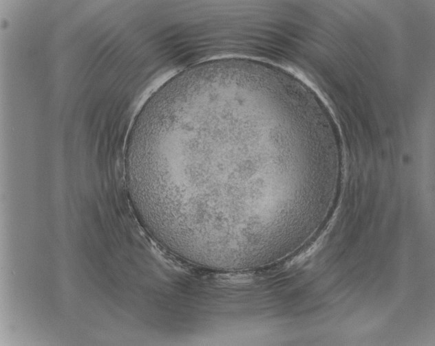 X0000075871145200610151654