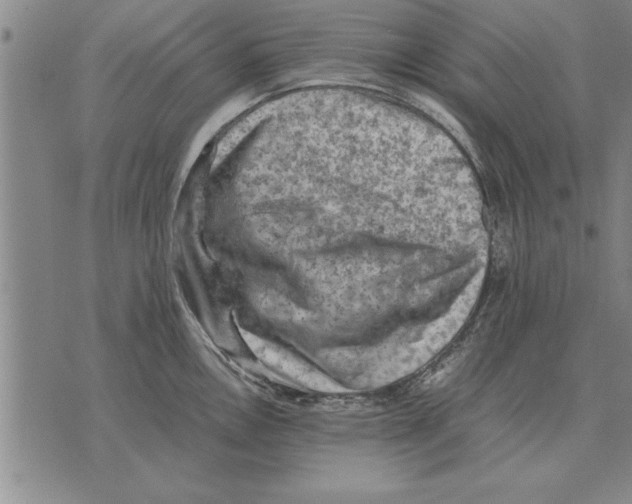 X0000075871146200610151654