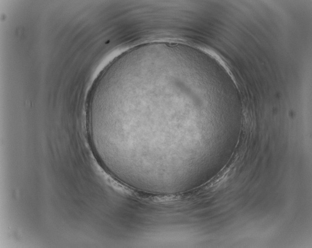 X0000075871147200610151654