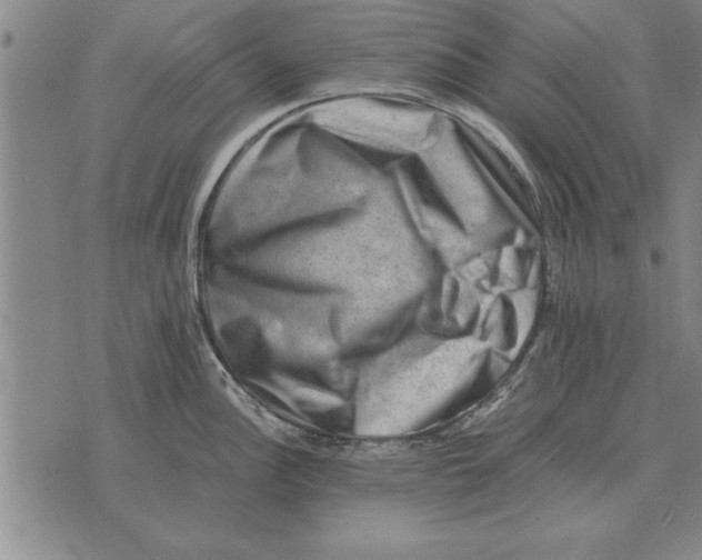 X0000075871148200610151654