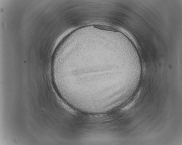 X0000075871149200610151654