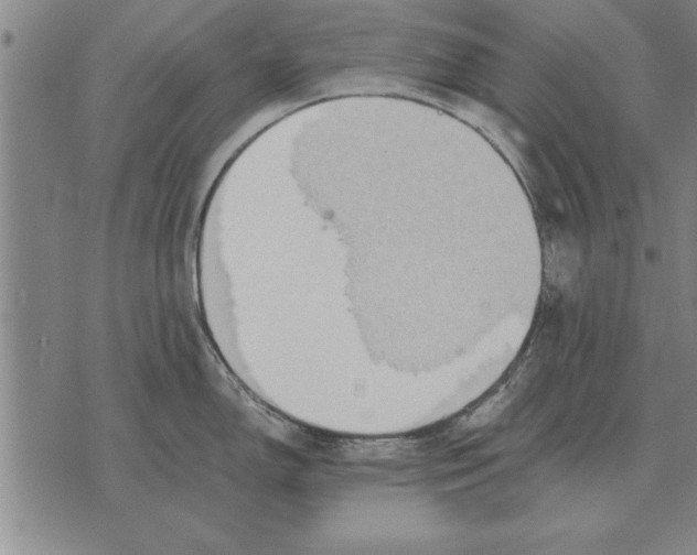 X0000075871150200610151654