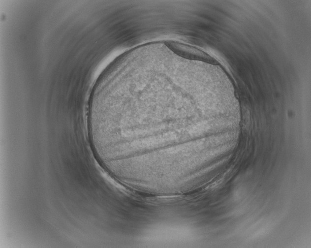 X0000075871151200610151654