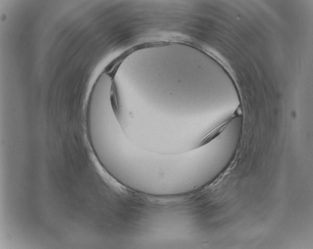 X0000075871152200610151654