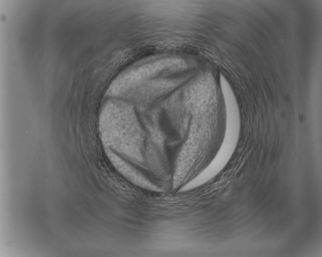 X0000075871153200610151653