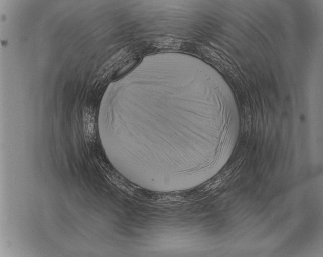 X0000075871154200610151653