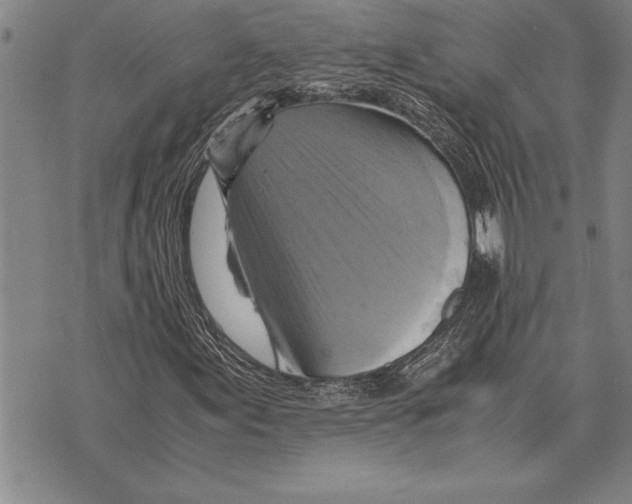 X0000075871155200610151653