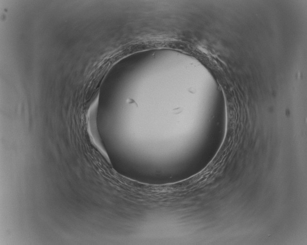 X0000075871157200610151653