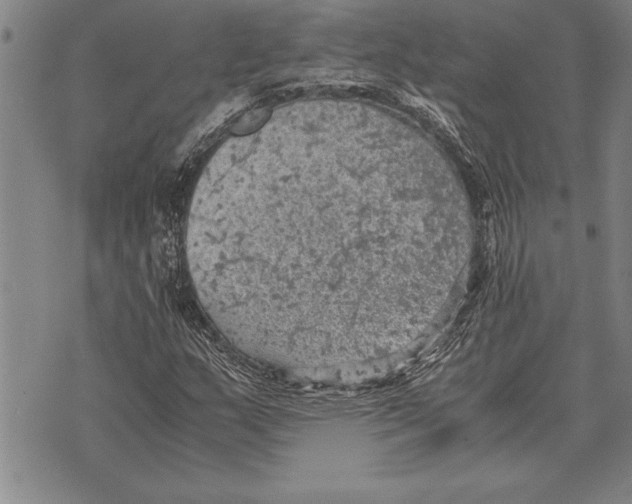 X0000075871159200610151653