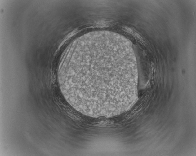 X0000075871160200610151653