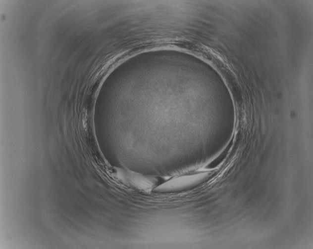 X0000075871161200610151653