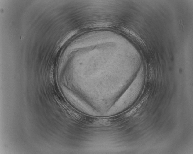 X0000075871162200610151653