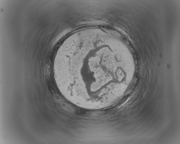 X0000075871163200610151653