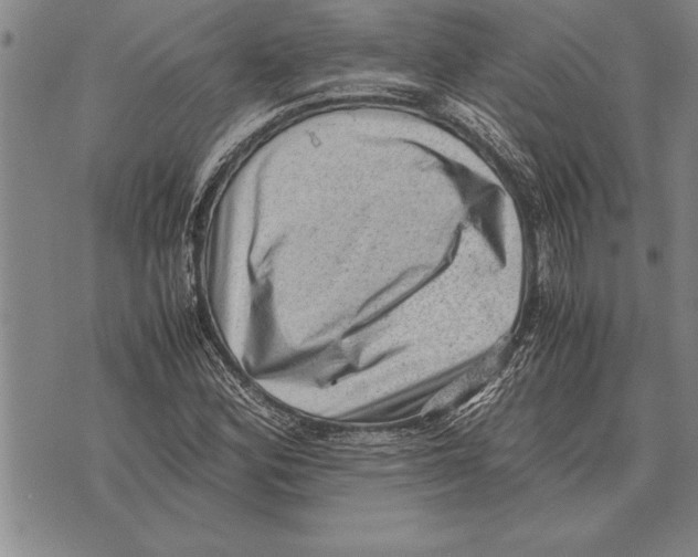 X0000075871164200610151653