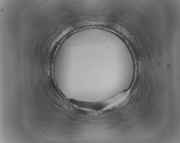 X0000075871165200610151653