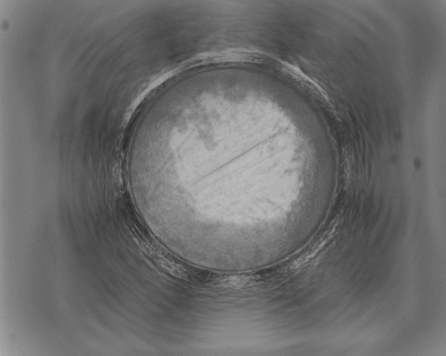 X0000075871166200610151653