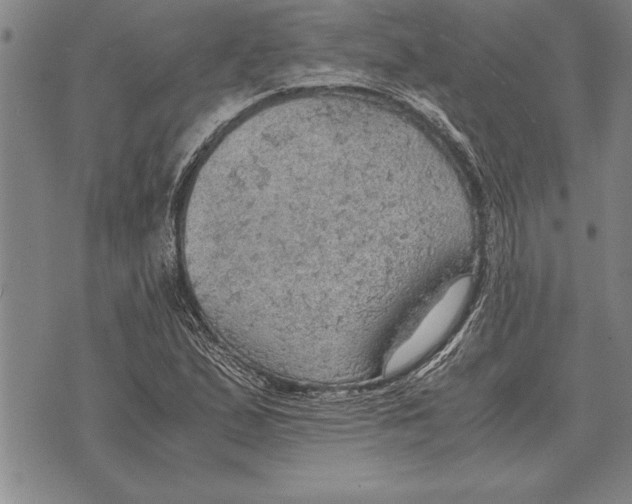 X0000075871167200610151653