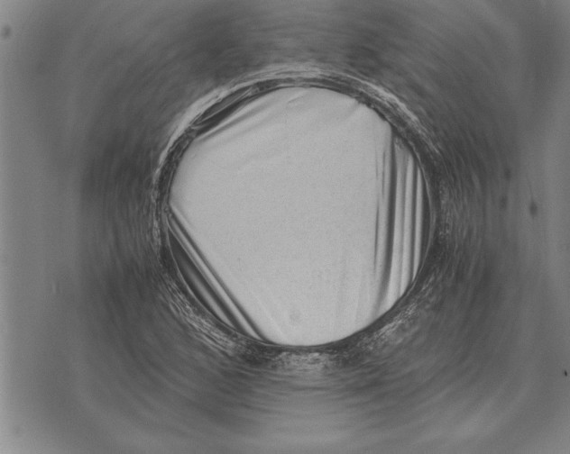 X0000075871168200610151653