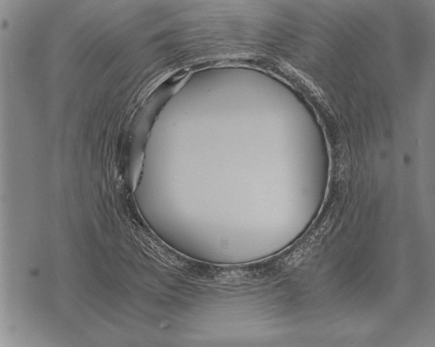 X0000075871169200610151653