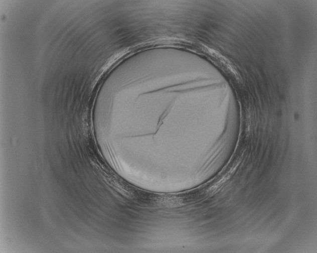 X0000075871170200610151653