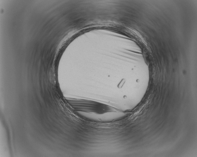 X0000075871172200610151653