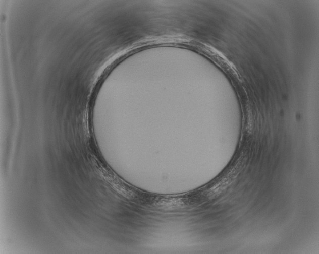 X0000075871174200610151653