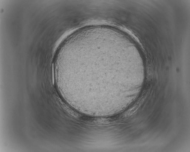 X0000075871175200610151653