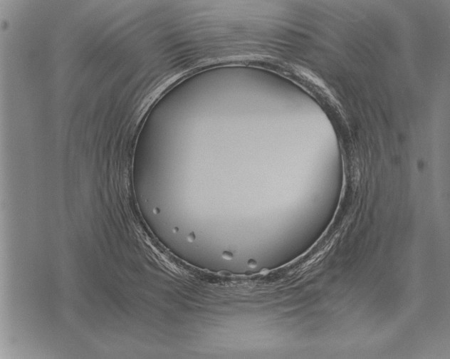 X0000075871177200610151653