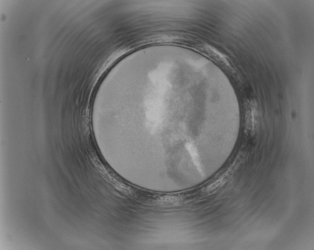 X0000075871178200610151653