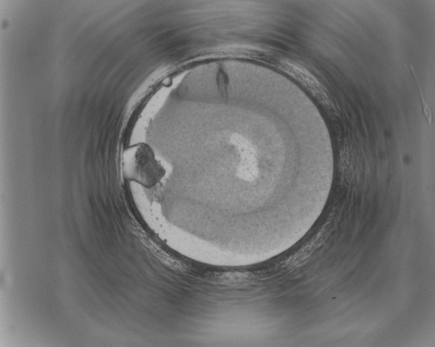 X0000075871180200610151653