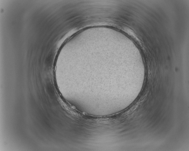 X0000075871181200610151653