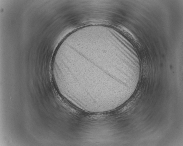 X0000075871182200610151653