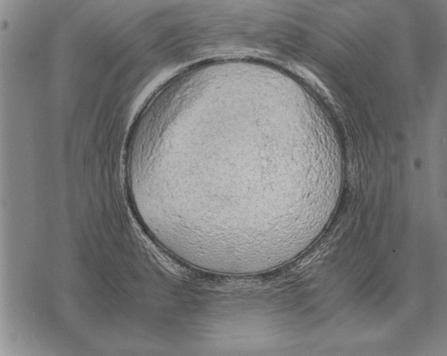 X0000075871183200610151653