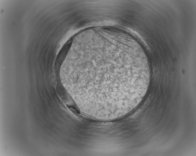 X0000075871184200610151653