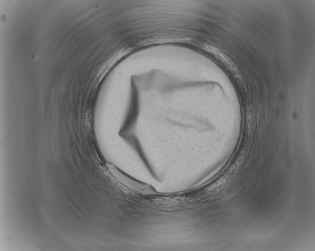 X0000075871185200610151653