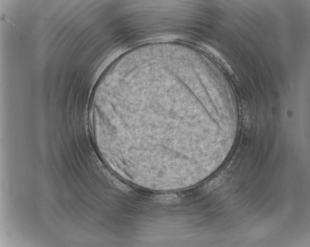 X0000075871186200610151653