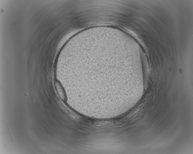 X0000075871187200610151653