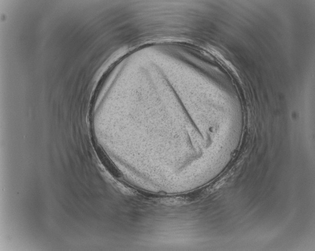 X0000075871189200610151653