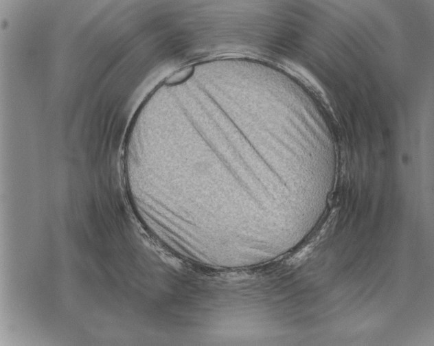 X0000075871190200610151653