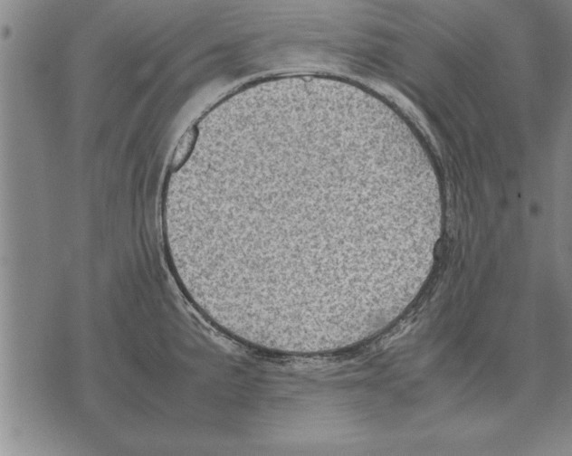 X0000075871191200610151653