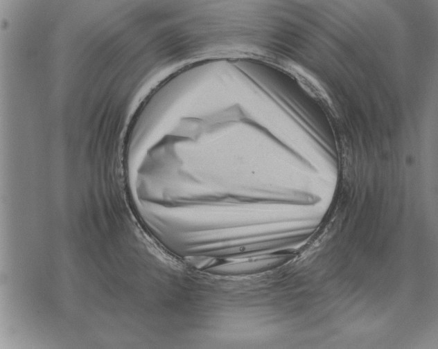 X0000075871192200610151653