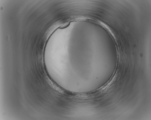 X0000075871194200610151652