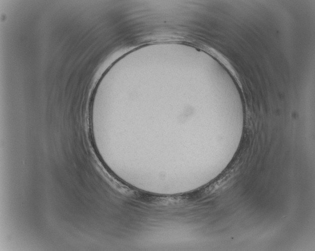 X0000075871195200610151652